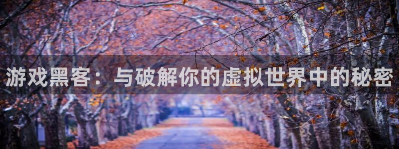 蓝冠娱乐网址官网：游戏黑客：与破解你的虚拟世界中的秘密