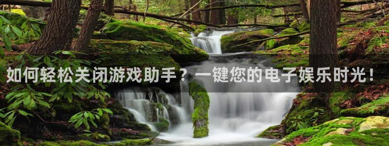 蓝冠娱乐在线登录：如何轻松关闭游戏助手？一键您的电子娱乐时光