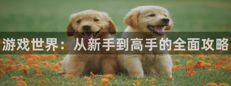 蓝冠娱乐网址官网