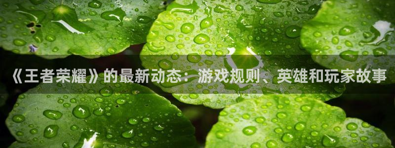 蓝冠娱乐网页登录入口下载：《王者荣耀》的最新动态：游戏规则、