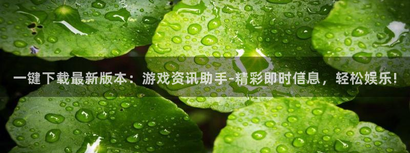 蓝冠娱乐集团：一键下载最新版本：游戏资讯助手-精彩即时信息，