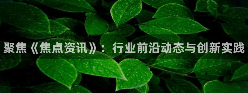 蓝冠娱乐官方平台：聚焦《焦点资讯》：行业前沿动态与创新实践