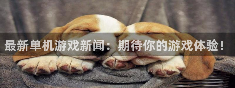 蓝冠娱乐注册官方登录app：最新单机游戏新闻：期待你的游戏体