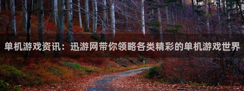 蓝冠娱乐平台负责人：单机游戏资讯：迅游网带你领略各类精彩的单