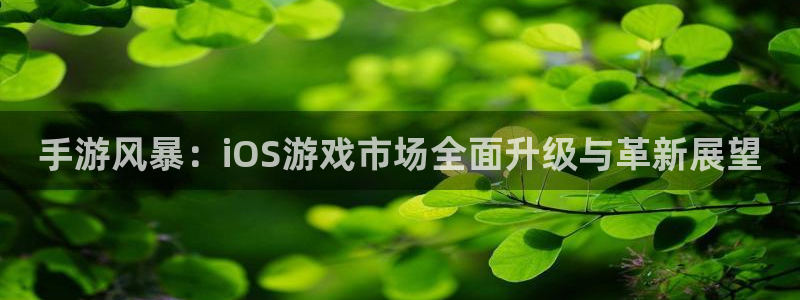 蓝冠装饰口碑怎么样：手游风暴：iOS游戏市场全面升级与革新展