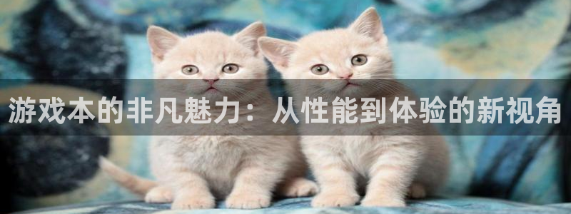 蓝冠在线平台真的可以躺赚吗：游戏本的非凡魅力：从性能到体验的