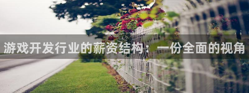 蓝冠怎么样：游戏开发行业的薪资结构：一份全面的视角