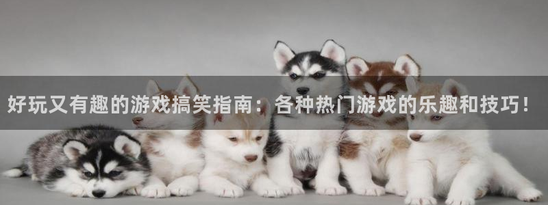 蓝冠分分彩：好玩又有趣的游戏搞笑指南：各种热门游戏的乐趣和技