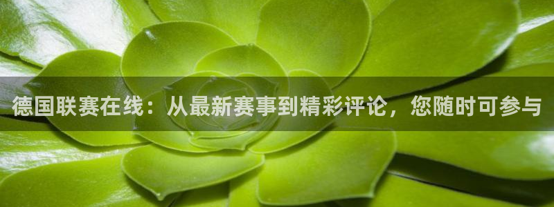 nba直播吧手机版：德国联赛在线：从最新赛事到精彩评论，您随时可参与