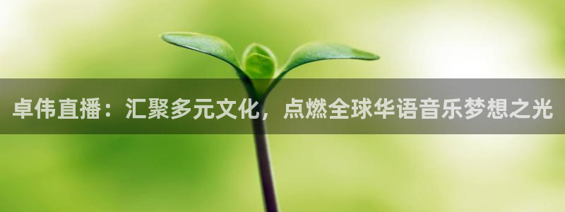 nba直播吧98篮球网：卓伟直播：汇聚多元文化，点燃全球华语音乐梦想之光