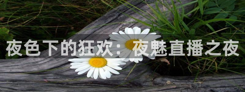 直播吧直播吧在线直播：夜色下的狂欢：夜魅直播之夜