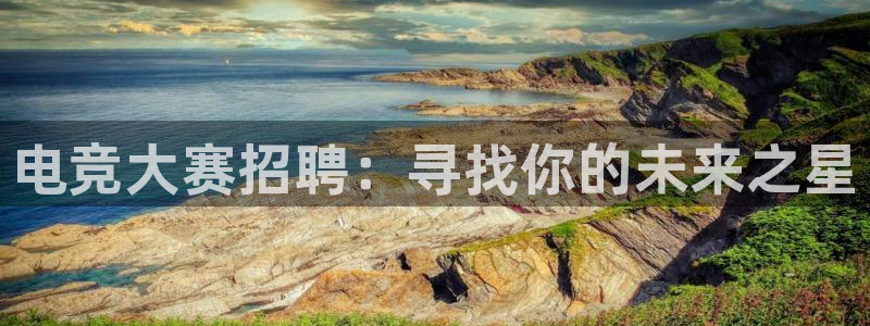 体育极速直播吧nba：电竞大赛招聘：寻找你的未来之星