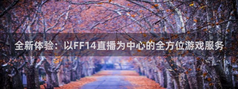 jrs直播吧免费：全新体验：以FF14直播为中心的全方位游戏服务