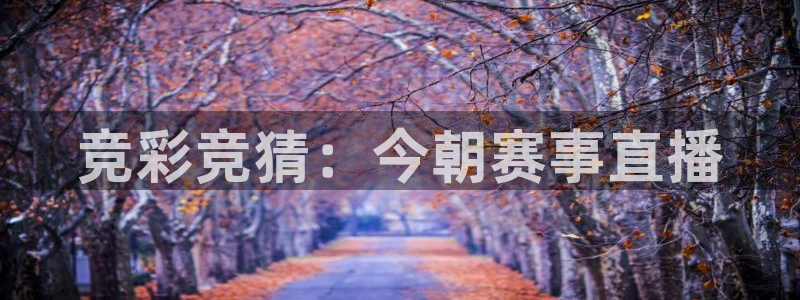 360直播nba直播吧：竞彩竞猜：今朝赛事直播